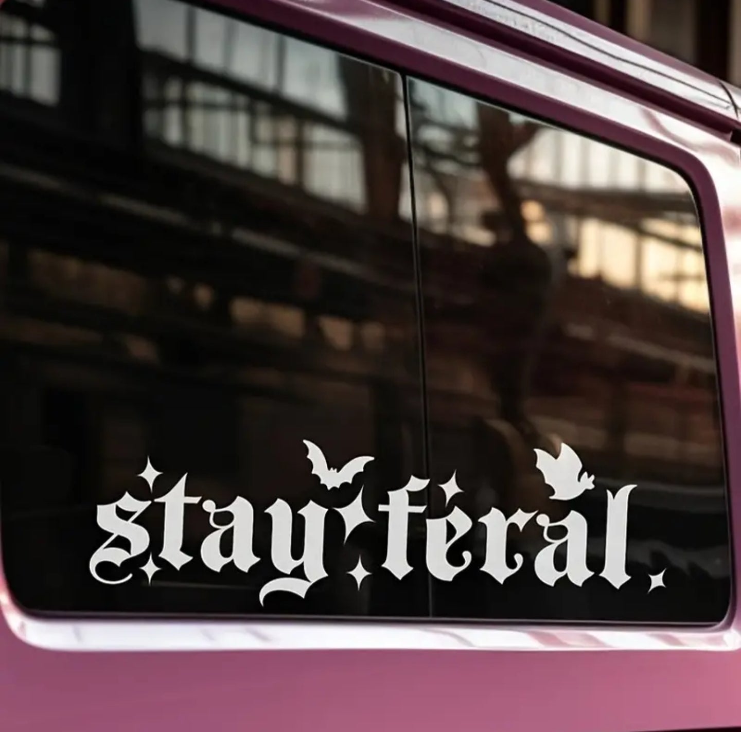 Stay Feral Waterproof Decal